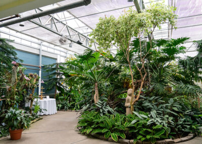botanical-center-setup